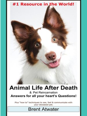 cover image of Animal Life after Death & Animal Reincarnation- Everything You Always wanted to Know! After-Death Do Animals Go to Heaven?